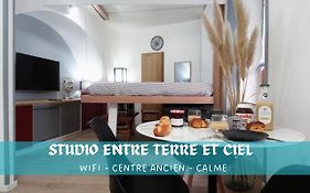 Studio Entre Terre Et Ciel - Escapade Millavoise